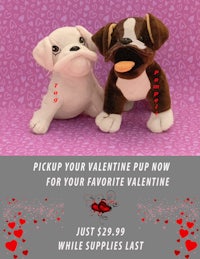 pick your valentine puppy now for your favorite valentine while supplies last
