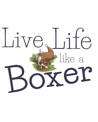 live life like a boxer